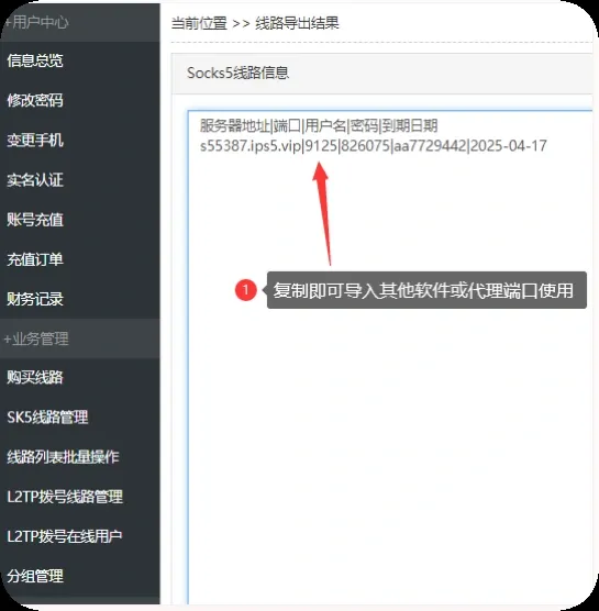 奔富加速器导出结果示例