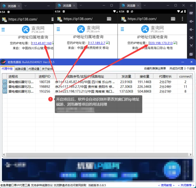 老鱼免费版结合 IP 查询页面检测出口地址