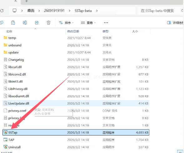 SSTap 打开程序示意图